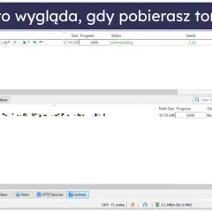Gdzie szukać bezpiecznych źródeł torrenty gier i jak unikać zagrożeń?