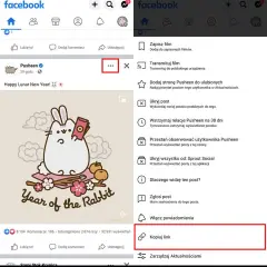 Jak łatwo pobrać film z Facebooka na komputer – proste metody i porady