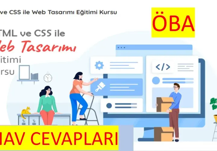 Jak nauczyć się projektowania stron internetowych z HTML i CSS – praktyczny kurs dla początkujących