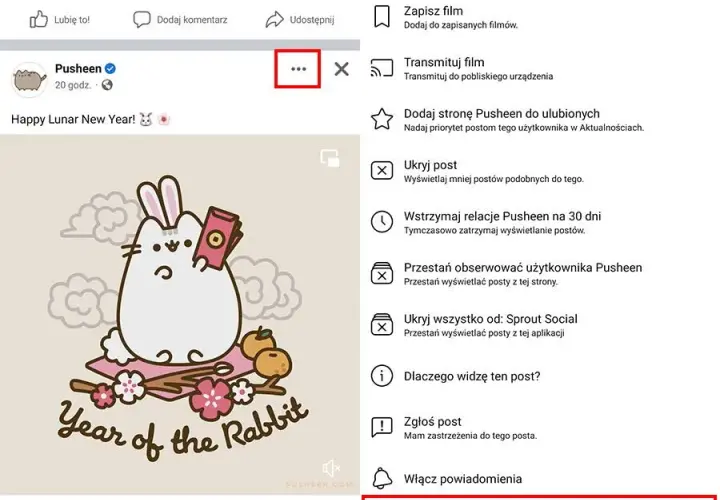Jak łatwo pobrać film z Facebooka na komputer – proste metody i porady